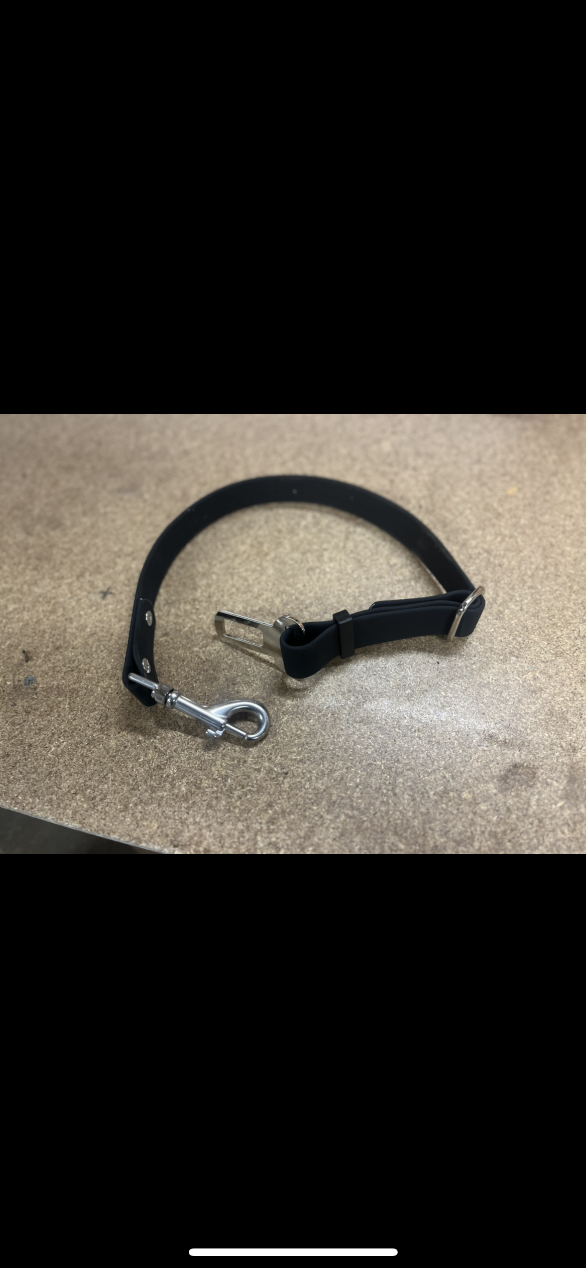 Seat Belt Restraints