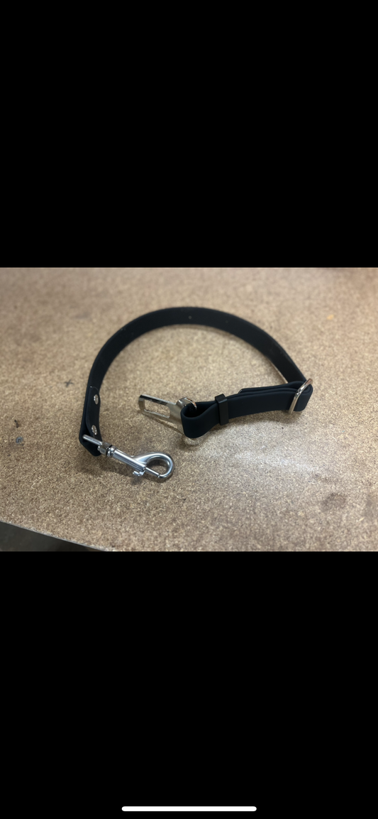 Seat Belt Restraints
