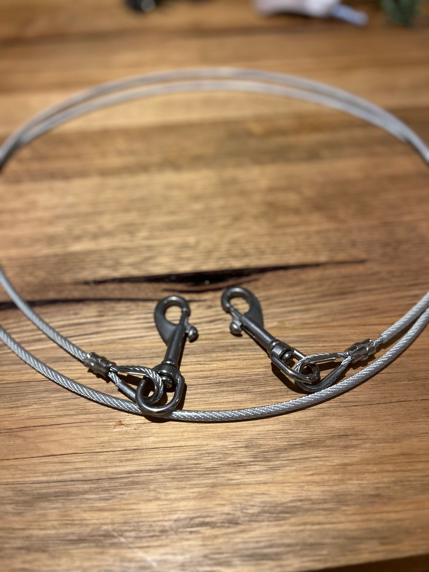 Stainless Camp Leads