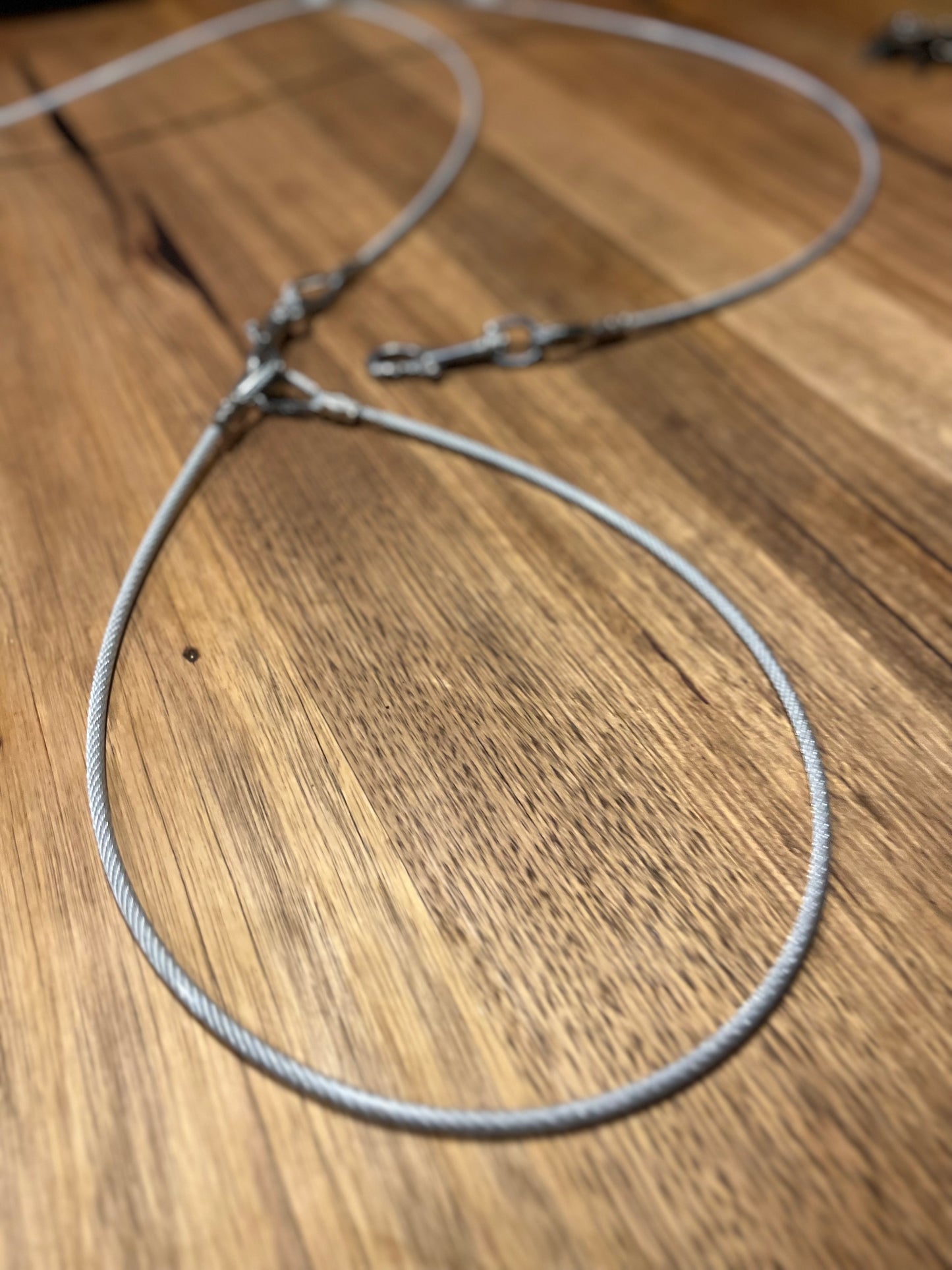 Stainless Camp Leads